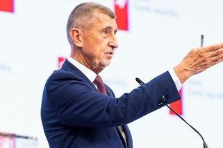 Babiš pozval soudce do sídla vlády, aby jim jeho právník vysvětlil Čapí hnízdo - Seznam Zprávy